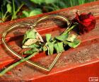 Bir kalp ve bir kırmızı gül, Sevgililer günü için sevginin sembolleri